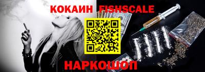 гидра Заводоуковск