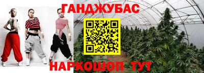 гидра Заводоуковск